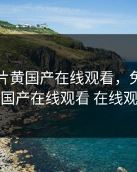 免费大片黄国产在线观看，免费大片黄国产在线观看 在线观看