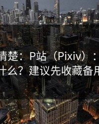 从零讲清楚：P站（Pixiv）：全称是什么？建议先收藏备用