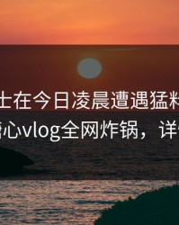 业内人士在今日凌晨遭遇猛料无法置信，糖心vlog全网炸锅，详情揭秘