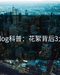 糖心vlog科普：花絮背后3大误区