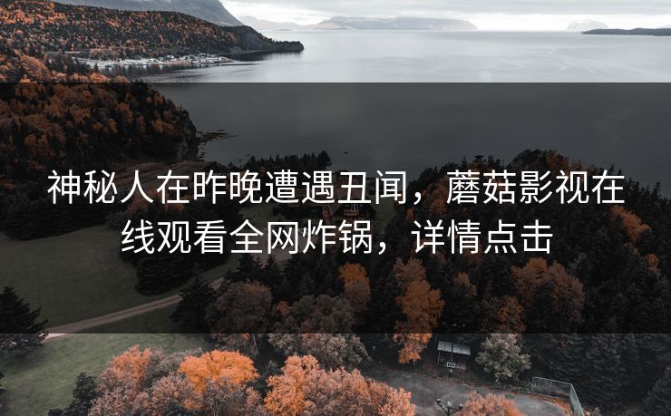 神秘人在昨晚遭遇丑闻，蘑菇影视在线观看全网炸锅，详情点击
