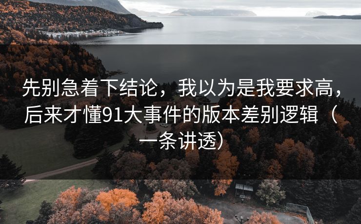 先别急着下结论，我以为是我要求高，后来才懂91大事件的版本差别逻辑（一条讲透）