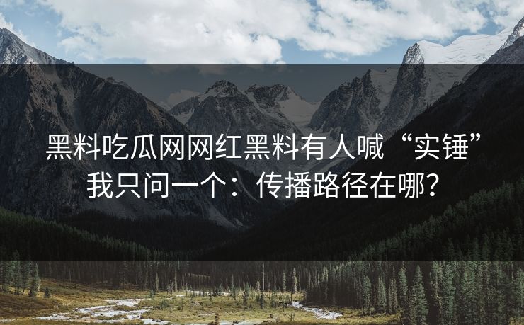 黑料吃瓜网网红黑料有人喊“实锤”我只问一个：传播路径在哪？